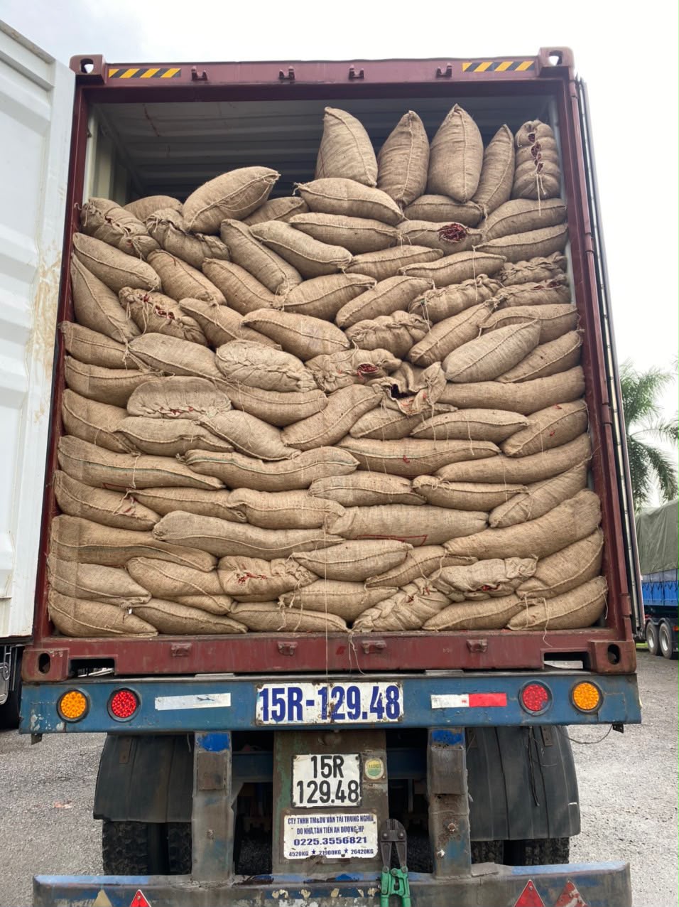 Container loaded with jute bags